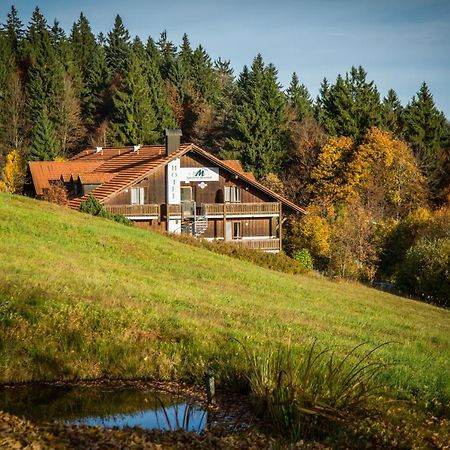 Apartment Bavaria Mitterfirmiansreut Bagian luar foto